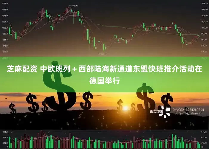 芝麻配资 中欧班列＋西部陆海新通道东盟快班推介活动在德国举行